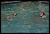 IMG_3350.JPG