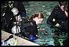 IMG_3374.JPG