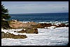 IMG_3441.JPG