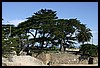 IMG_3442.JPG
