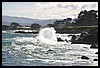 IMG_3444.JPG