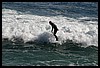 IMG_3454.JPG