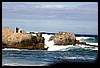 IMG_3460.JPG