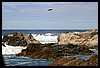 IMG_3469.JPG