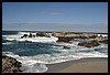 IMG_3470.JPG
