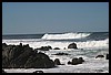 IMG_3471.JPG