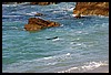 IMG_3479.JPG