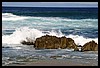 IMG_3480.JPG
