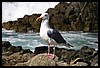 IMG_3485.JPG