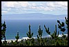 IMG_3509.JPG