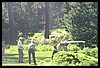 IMG_3553.JPG