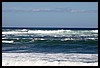 IMG_3555.JPG