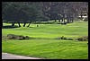 IMG_3558.JPG