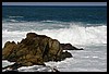 IMG_3562.JPG