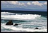 IMG_3563.JPG