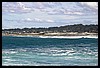IMG_3565.JPG