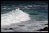 IMG_3566.JPG