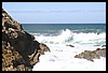 IMG_3568.JPG