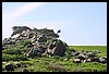 IMG_3571.JPG