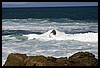 IMG_3572.JPG