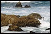 IMG_3573.JPG