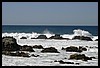 IMG_3575.JPG
