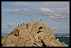 IMG_3588.JPG