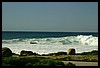 IMG_3597.JPG