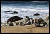 IMG_3603.JPG