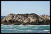 IMG_3605.JPG