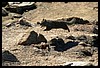 IMG_3606.JPG