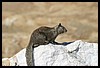 IMG_3629.JPG