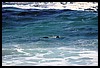IMG_3641.JPG