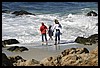 IMG_3654.JPG