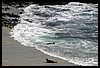 IMG_3665.JPG