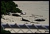 IMG_3666.JPG