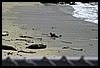 IMG_3668.JPG