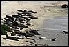 IMG_3669.JPG