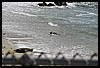 IMG_3675.JPG
