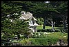 IMG_3678.JPG