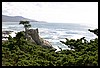 IMG_3682.JPG