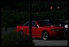 IMG_3695.JPG