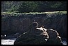IMG_3737.JPG