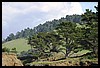 IMG_3738.JPG
