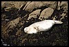 IMG_3739.JPG