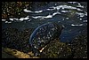 IMG_3740.JPG