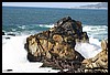 IMG_3742.JPG