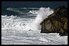 IMG_3747.JPG