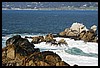IMG_3750.JPG