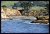 IMG_3751.JPG